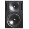 Активные GENELEC 1032BPM